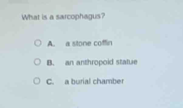 what is a sarcophagus? a. a stone coffin b. an anthropoid statue c. a b…