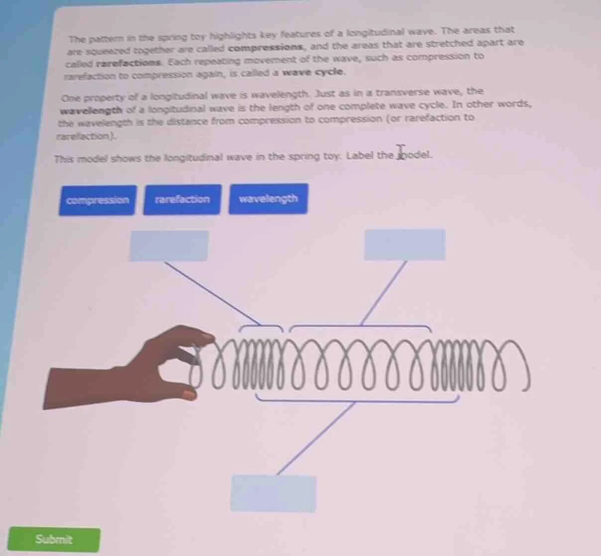 the pattern in the spring toy highlights key features of a longitudinal…