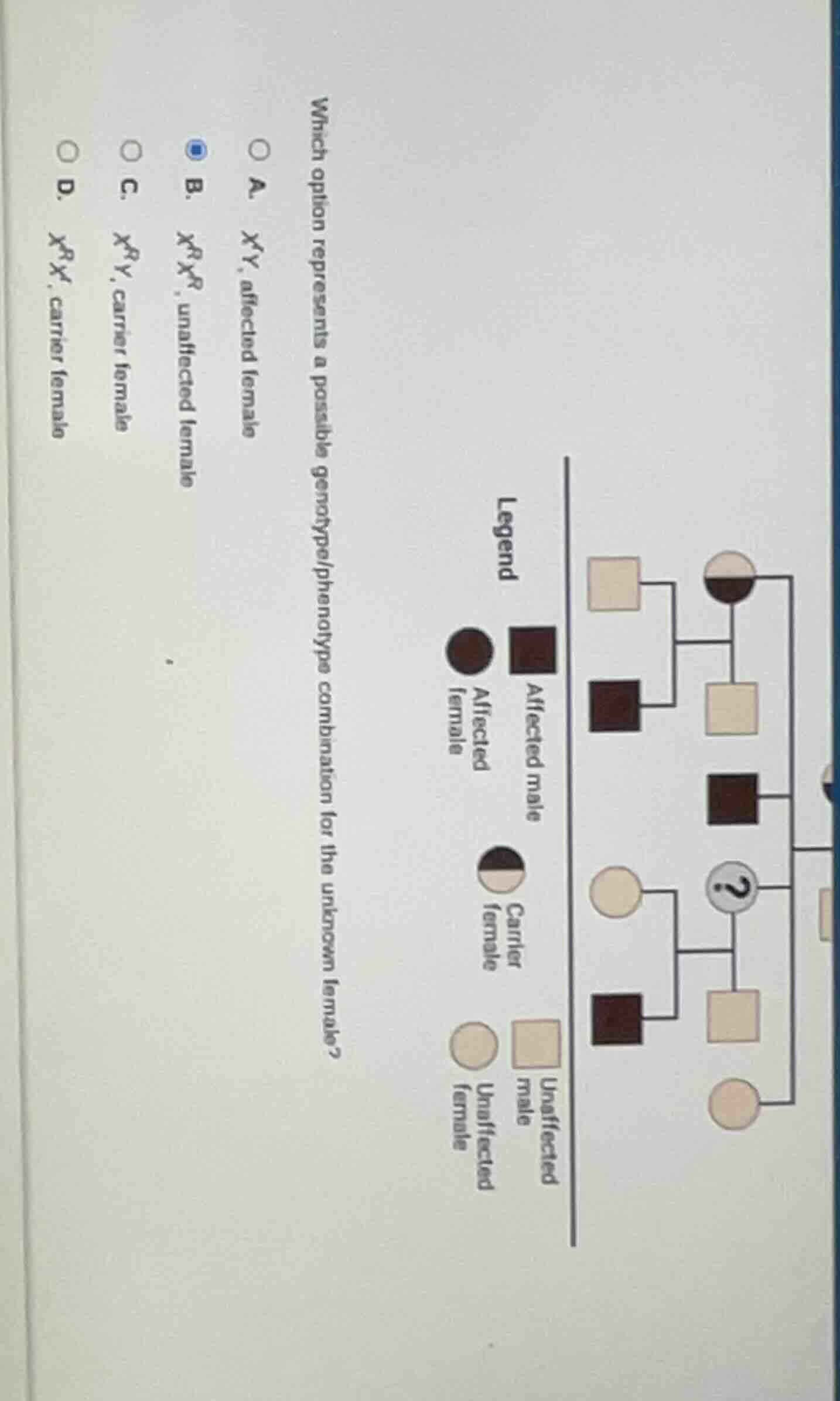 which option represents a possible genotype/phenotype combination for t…