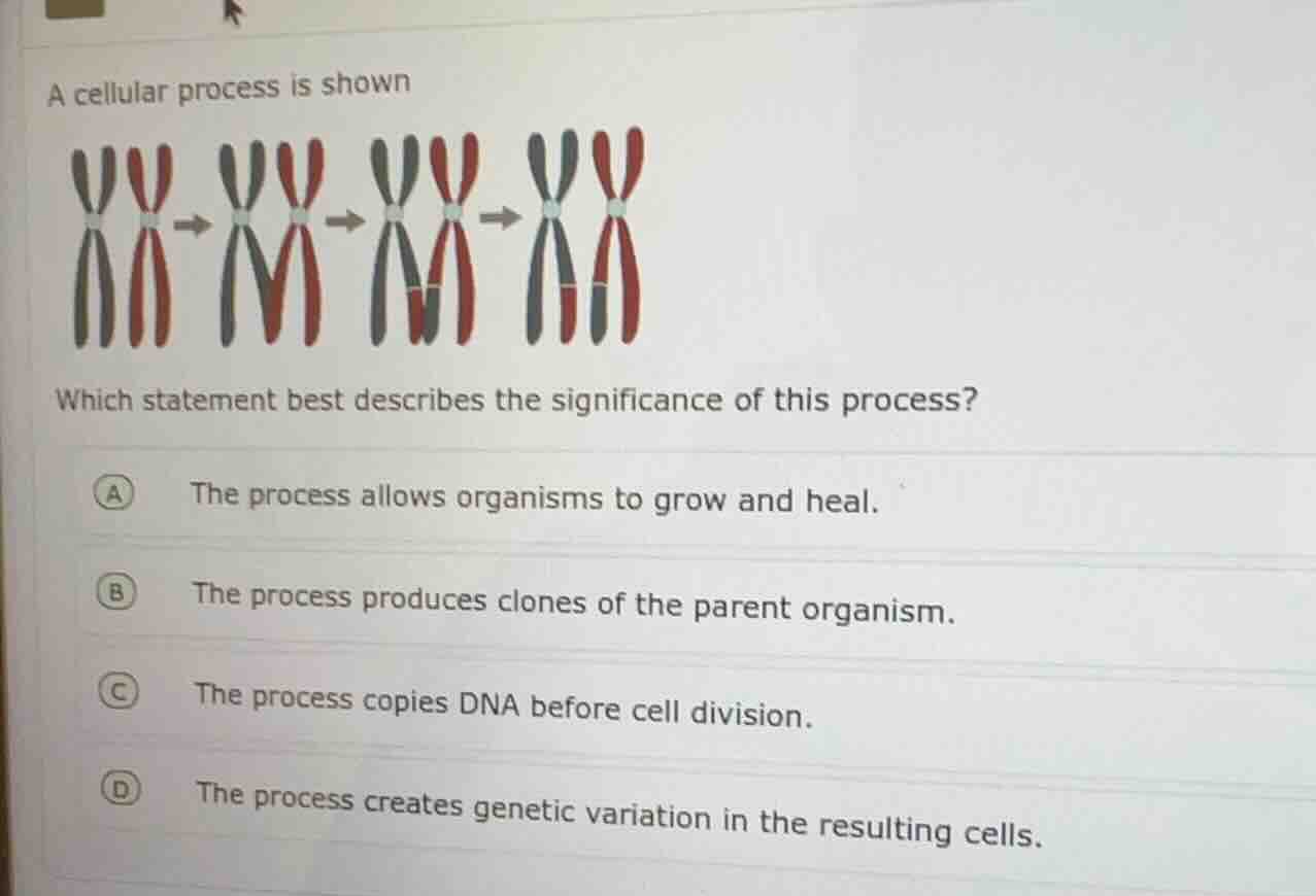 a cellular process is shown\nwhich statement best describes the significance of this process?\na the process allows organisms to grow and heal.\nb the process produces clones of the parent organism.\nc the process copies dna before cell division.\nd the process creates genetic variation in the resulting cells.