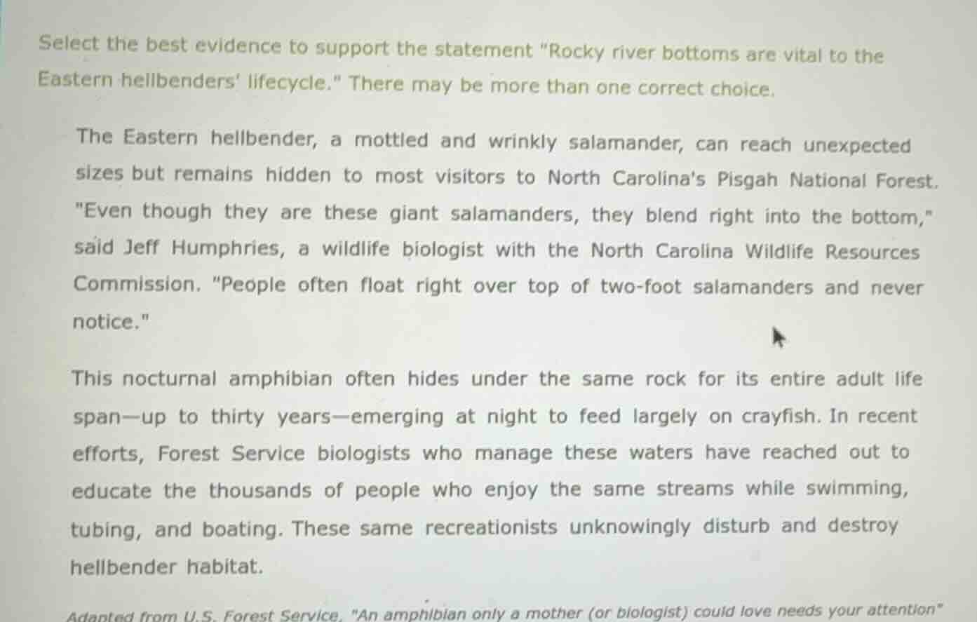 select the best evidence to support the statement \rocky river bottoms are vital to the eastern hellbenders lifecycle.\ there may be more than one correct choice.\n\nthe eastern hellbender, a mottled and wrinkly salamander, can reach unexpected sizes but remains hidden to most visitors to north carolinas pisgah national forest. \even though they are these giant salamanders, they blend right into the bottom,\ said jeff humphries, a wildlife biologist with the north carolina wildlife resources commission. \people often float right over top of two-foot salamanders and never notice.\\n\nthis nocturnal amphibian often hides under the same rock for its entire adult life span—up to thirty years—emerging at night to feed largely on crayfish. in recent efforts, forest service biologists who manage these waters have reached out to educate the thousands of people who enjoy the same streams while swimming, tubing, and boating. these same recreationists unknowingly disturb and destroy hellbender habitat.\n\nadapted from u.s. forest service, \an amphibian only a mother (or biologist) could love needs your attention\