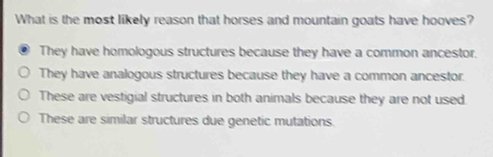 what is the most likely reason that horses and mountain goats have hooves?○ they have homologous structures because they have a common ancestor.○ they have analogous structures because they have a common ancestor.○ these are vestigial structures in both animals because they are not used.○ these are similar structures due genetic mutations.