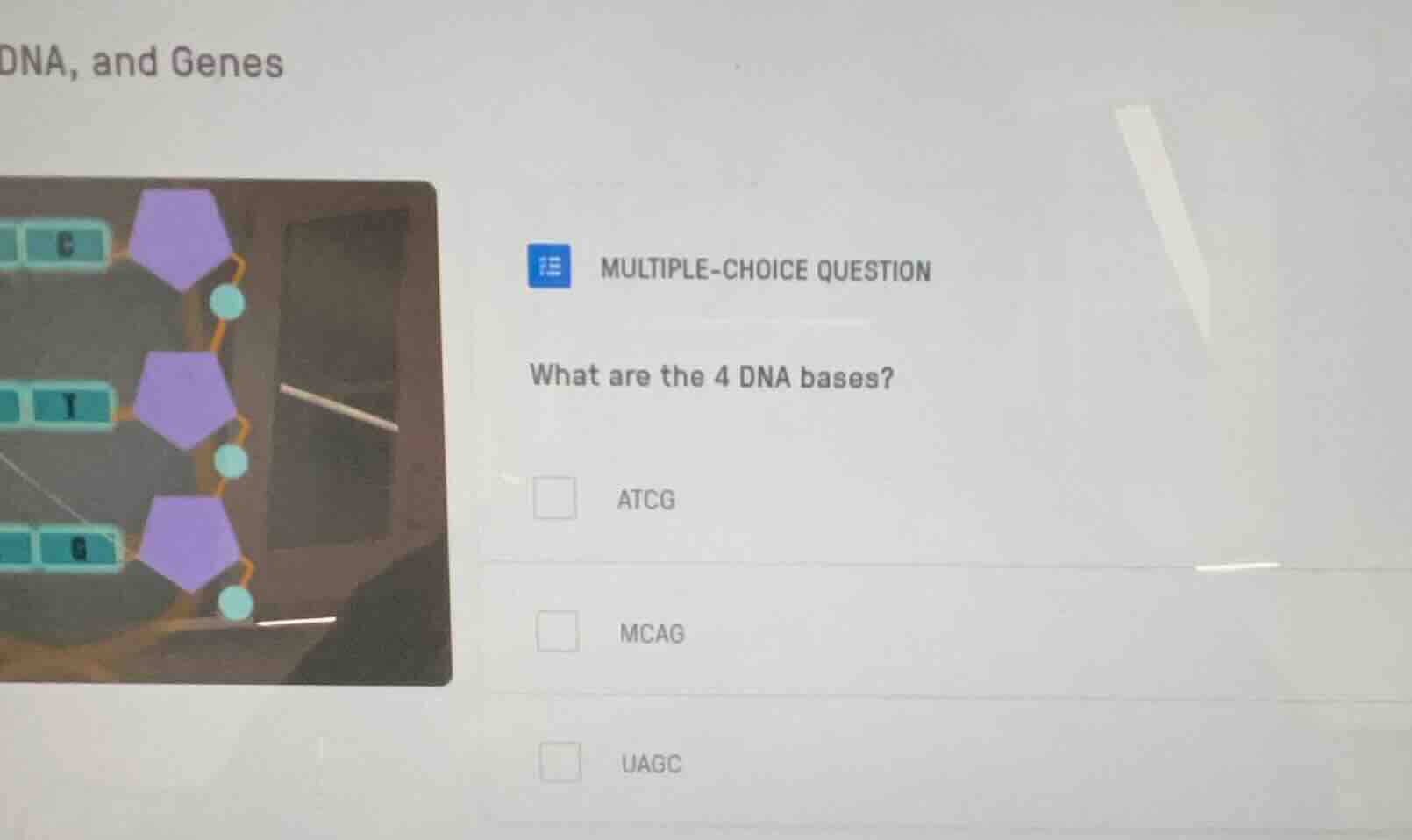 dna, and genes\nmultiple-choice question\nwhat are the 4 dna bases?\natcg\nmcag\nuagc