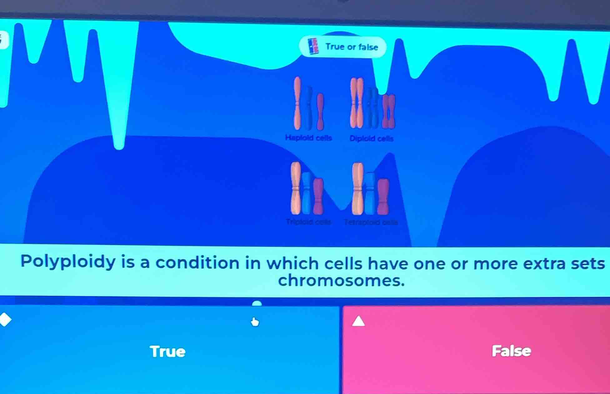 true or false\nhaploid cells\ndiploid cells\ntriploid cells\ntetraploid cells\npolyploidy is a condition in which cells have one or more extra sets chromosomes.\ntrue\nfalse