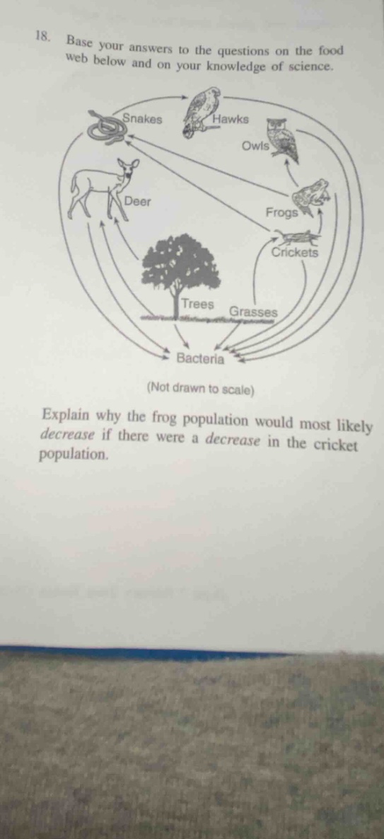 18. base your answers to the questions on the food web below and on your knowledge of science.\n(not drawn to scale)\nexplain why the frog population would most likely decrease if there were a decrease in the cricket population.