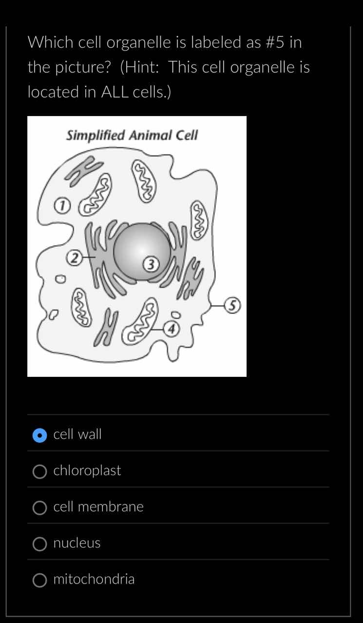 which cell organelle is labeled as #5 in the picture? (hint: this cell organelle is located in all cells.)\ncell wall\nchloroplast\ncell membrane\nnucleus\nmitochondria