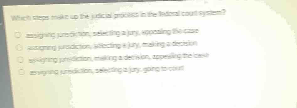 which steps make up the judicial process in the federal court system?assigning jurisdiction, selecting a jury, appealing the caseassigning jurisdiction, selecting a jury, making a decisionassigning jurisdiction, making a decision, appealing the caseassigning jurisdiction, selecting a jury, going to court