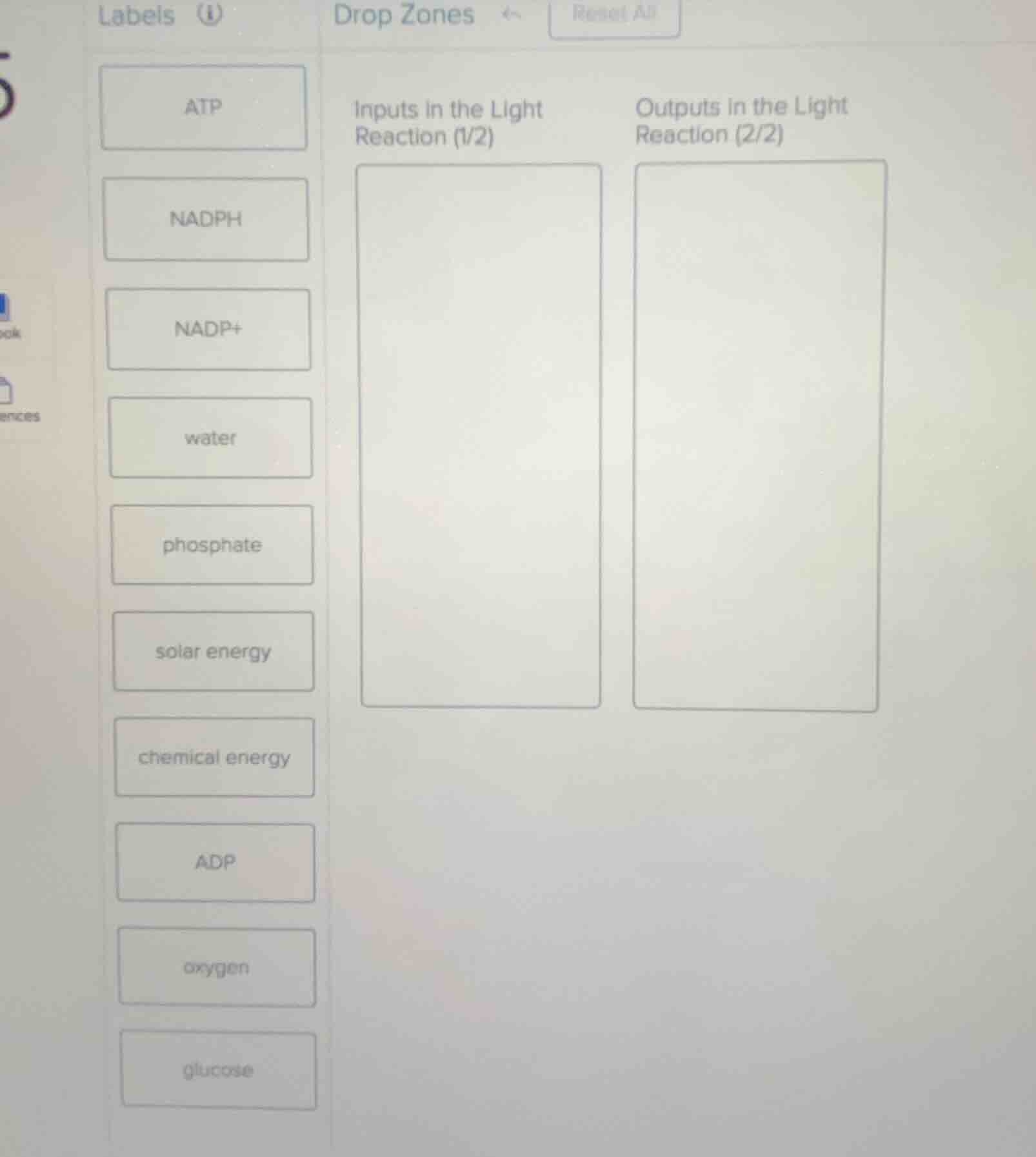 labels \ndrop zones reset all\natp\nnadph\nnadp+\nwater\nphosphate\nsolar energy\nchemical energy\nadp\noxygen\nglucose\ninputs in the light reaction (1/2)\noutputs in the light reaction (2/2)