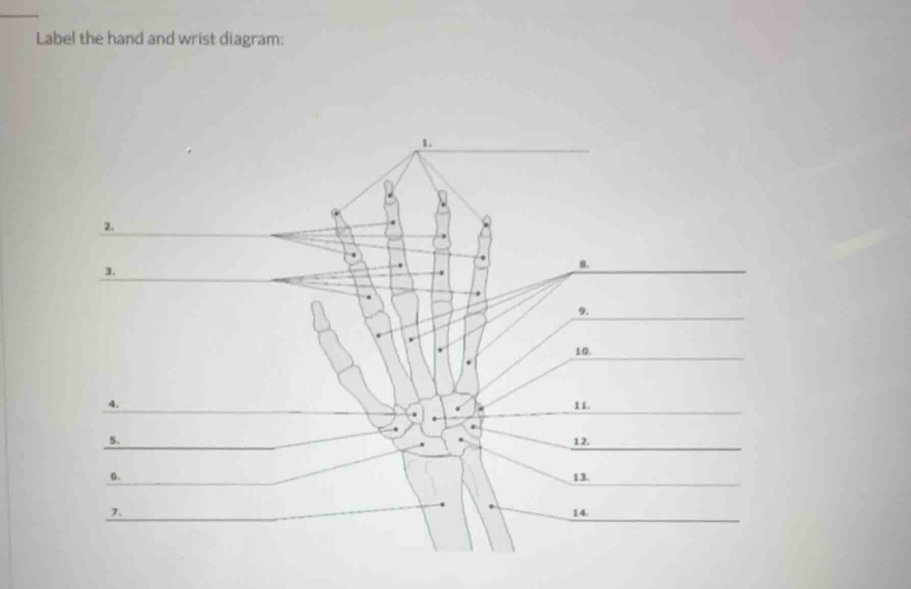 label the hand and wrist diagram: