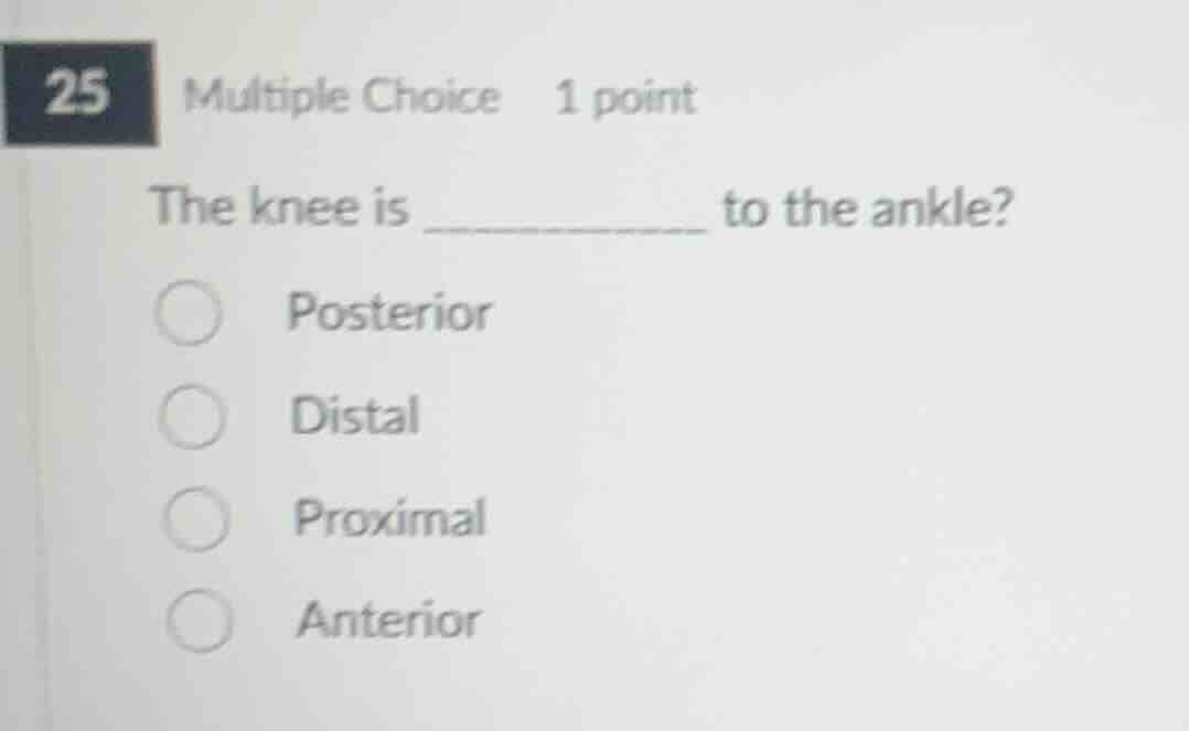 25 multiple choice 1 point\nthe knee is ______________ to the ankle?\nposterior\ndistal\nproximal\nanterior