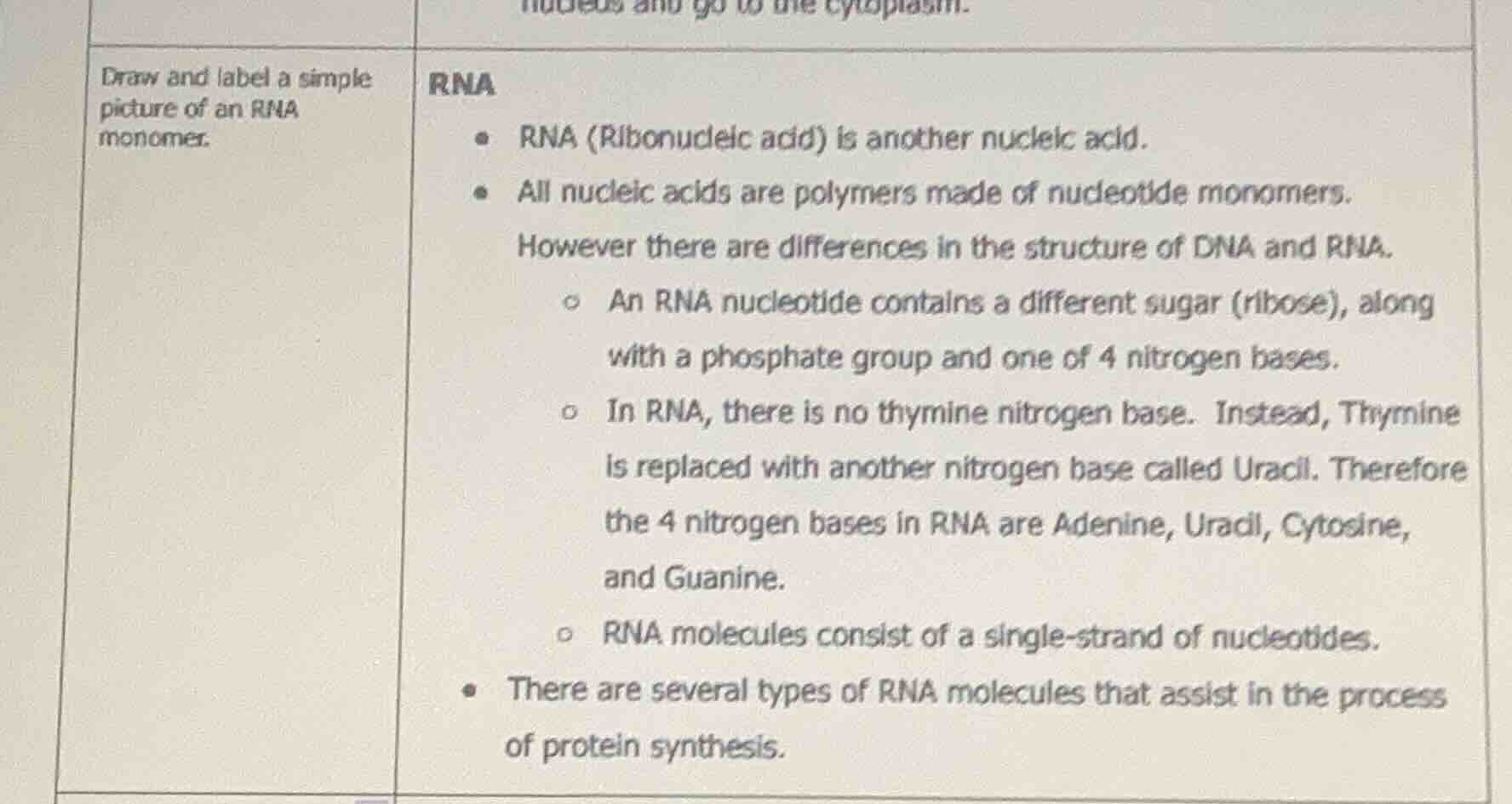 draw and label a simple picture of an rna monomer.\nrna\n- rna (ribonucleic acid) is another nucleic acid.\n- all nucleic acids are polymers made of nucleotide monomers.\nhowever there are differences in the structure of dna and rna.\n - an rna nucleotide contains a different sugar (ribose), along with a phosphate group and one of 4 nitrogen bases.\n - in rna, there is no thymine nitrogen base. instead, thymine is replaced with another nitrogen base called uracil. therefore the 4 nitrogen bases in rna are adenine, uracil, cytosine, and guanine.\n - rna molecules consist of a single-strand of nucleotides.\n- there are several types of rna molecules that assist in the process of protein synthesis.