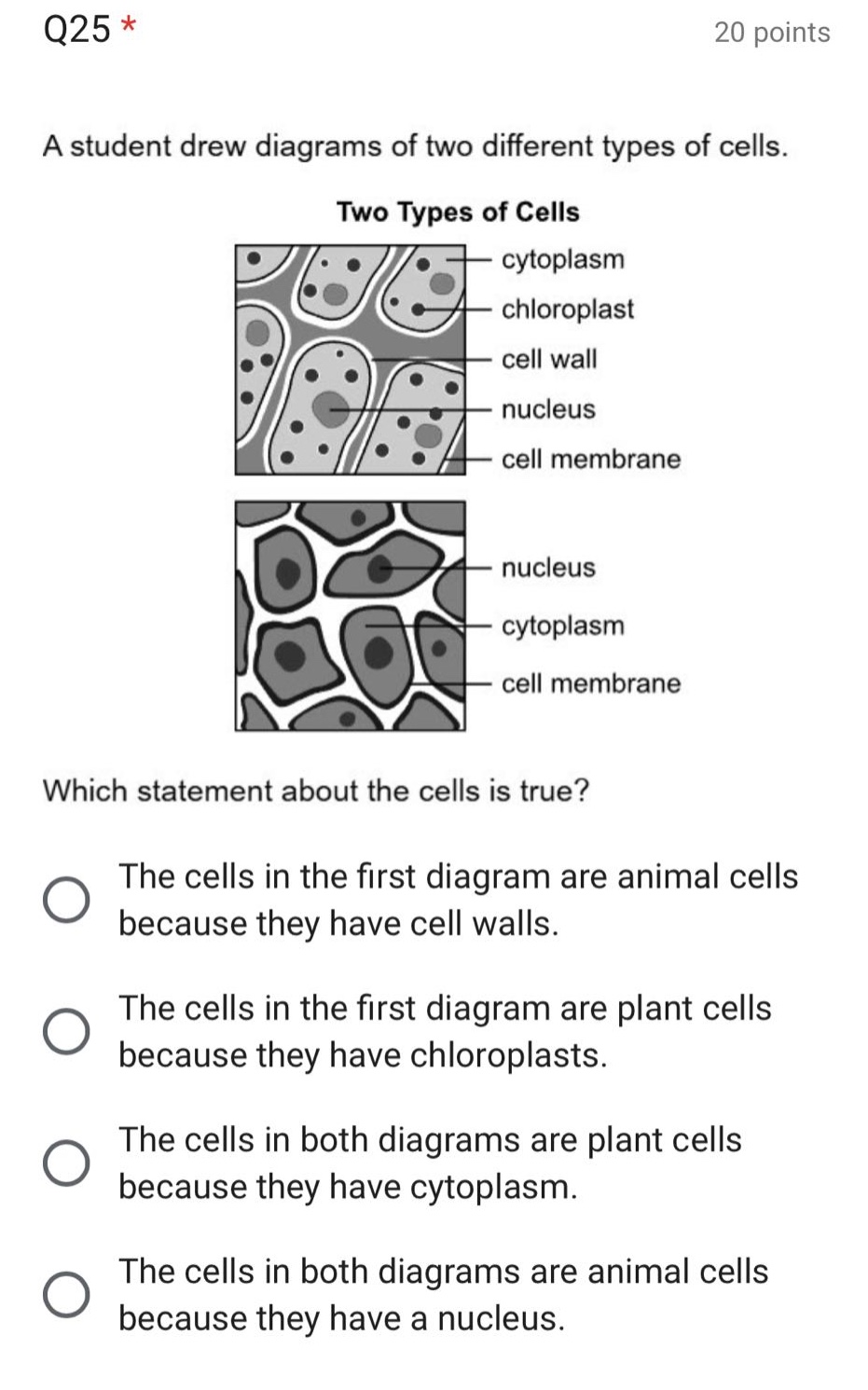 q25 * 20 points\na student drew diagrams of two different types of cells.\ntwo types of cells\nwhich statement about the cells is true?\nthe cells in the first diagram are animal cells because they have cell walls.\nthe cells in the first diagram are plant cells because they have chloroplasts.\nthe cells in both diagrams are plant cells because they have cytoplasm.\nthe cells in both diagrams are animal cells because they have a nucleus.