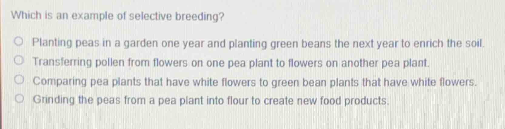 which is an example of selective breeding?planting peas in a garden one year and planting green beans the next year to enrich the soil.transferring pollen from flowers on one pea plant to flowers on another pea plant.comparing pea plants that have white flowers to green bean plants that have white flowers.grinding the peas from a pea plant into flour to create new food products.