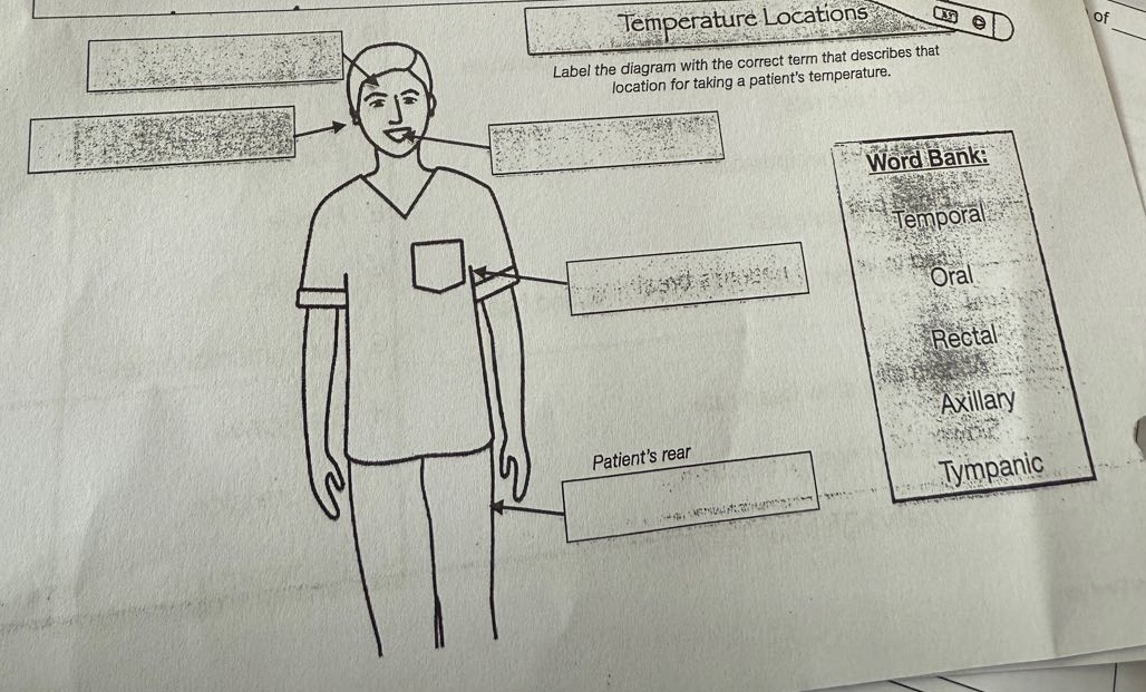temperature locations\nlabel the diagram with the correct term that describes that location for taking a patients temperature.\nword bank:\ntemporal\noral\nrectal\naxillary\ntympanic\npatients rear