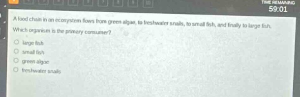 a food chain in an ecosystem flows from green algae, to freshwater snails, to small fish, and finally to large fish.\nwhich organism is the primary consumer?\n○ large fish\n○ small fish\n○ green algae\n○ freshwater snails