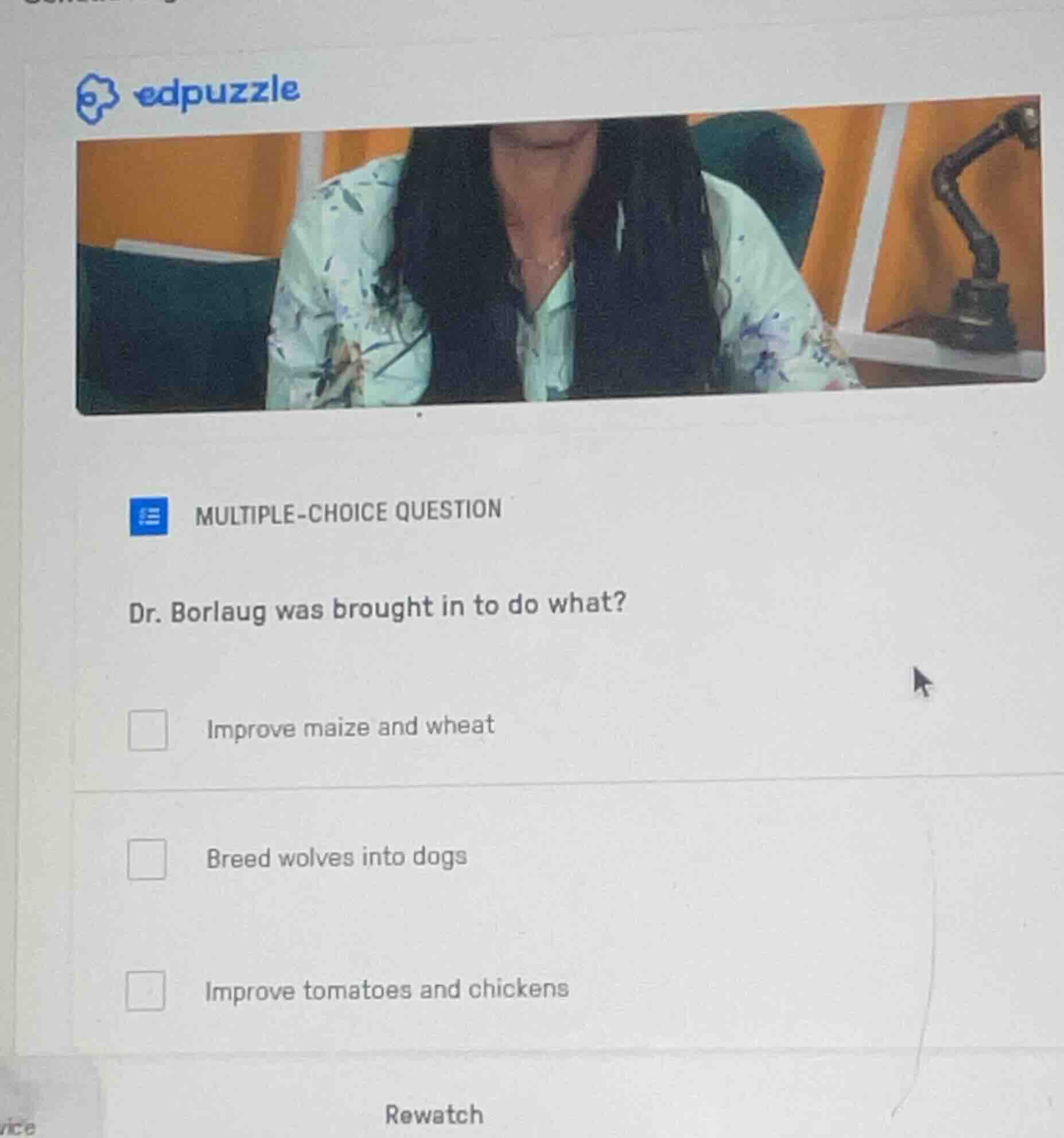 edpuzzle\nmultiple-choice question\ndr. borlaug was brought in to do what?\nimprove maize and wheat\nbreed wolves into dogs\nimprove tomatoes and chickens