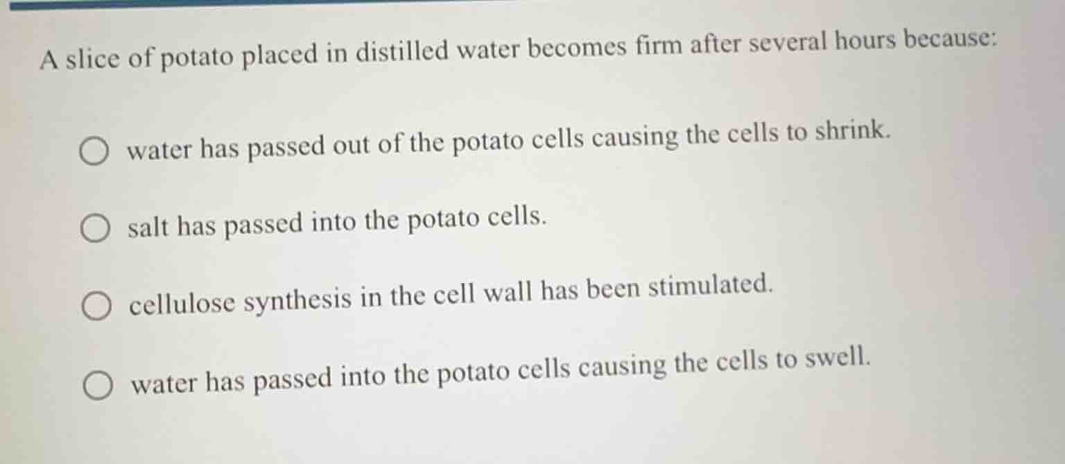 a slice of potato placed in distilled water becomes firm after several hours because:\n\nwater has passed out of the potato cells causing the cells to shrink.\nsalt has passed into the potato cells.\ncellulose synthesis in the cell wall has been stimulated.\nwater has passed into the potato cells causing the cells to swell.