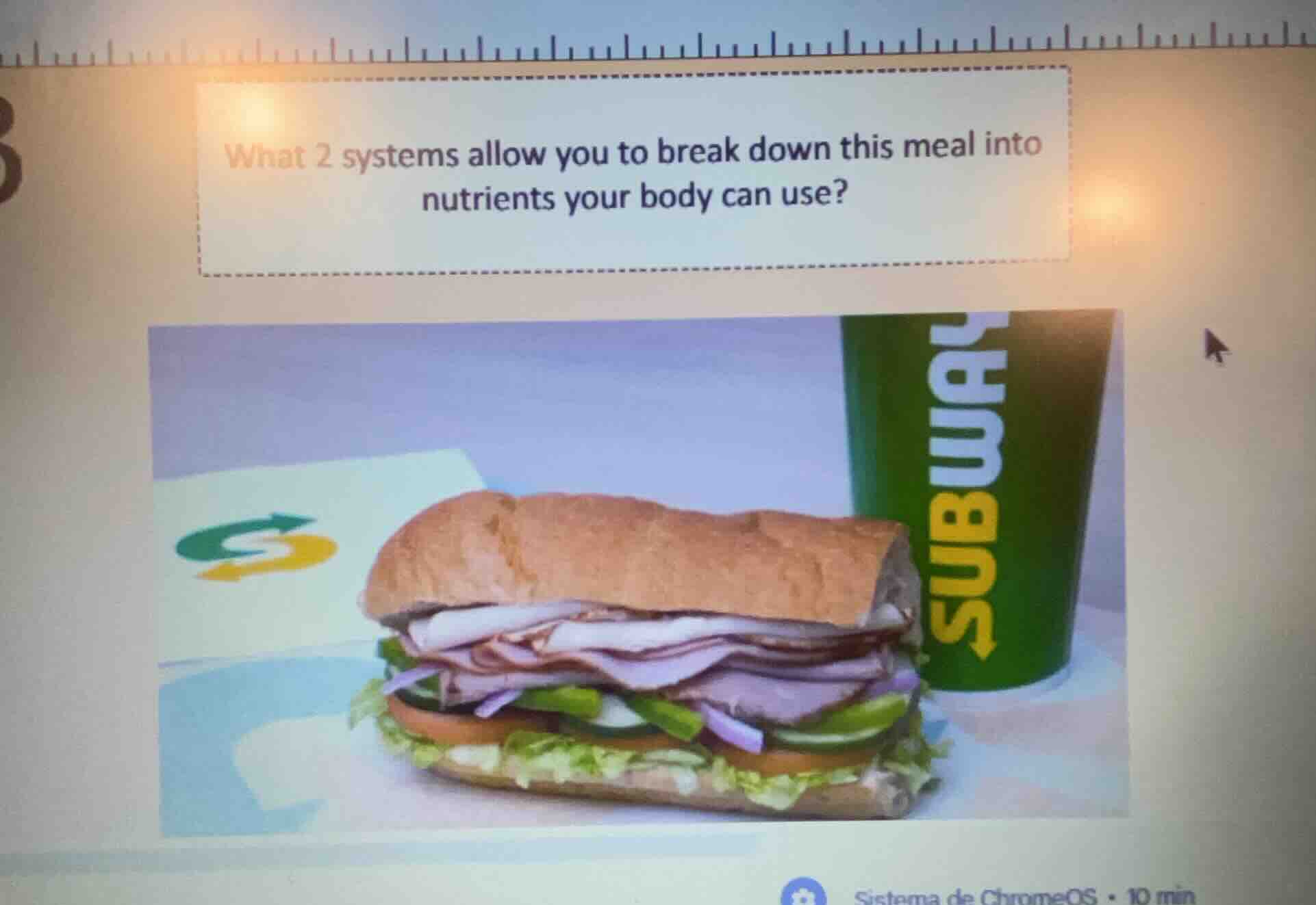 what 2 systems allow you to break down this meal into nutrients your body can use?