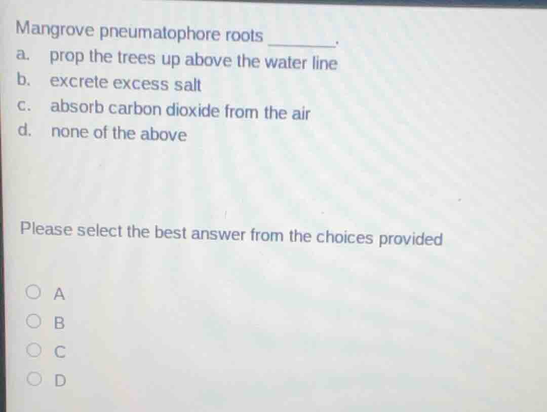 mangrove pneumatophore roots ______.\na. prop the trees up above the water line\nb. excrete excess salt\nc. absorb carbon dioxide from the air\nd. none of the above\n\nplease select the best answer from the choices provided\na\nb\nc\nd
