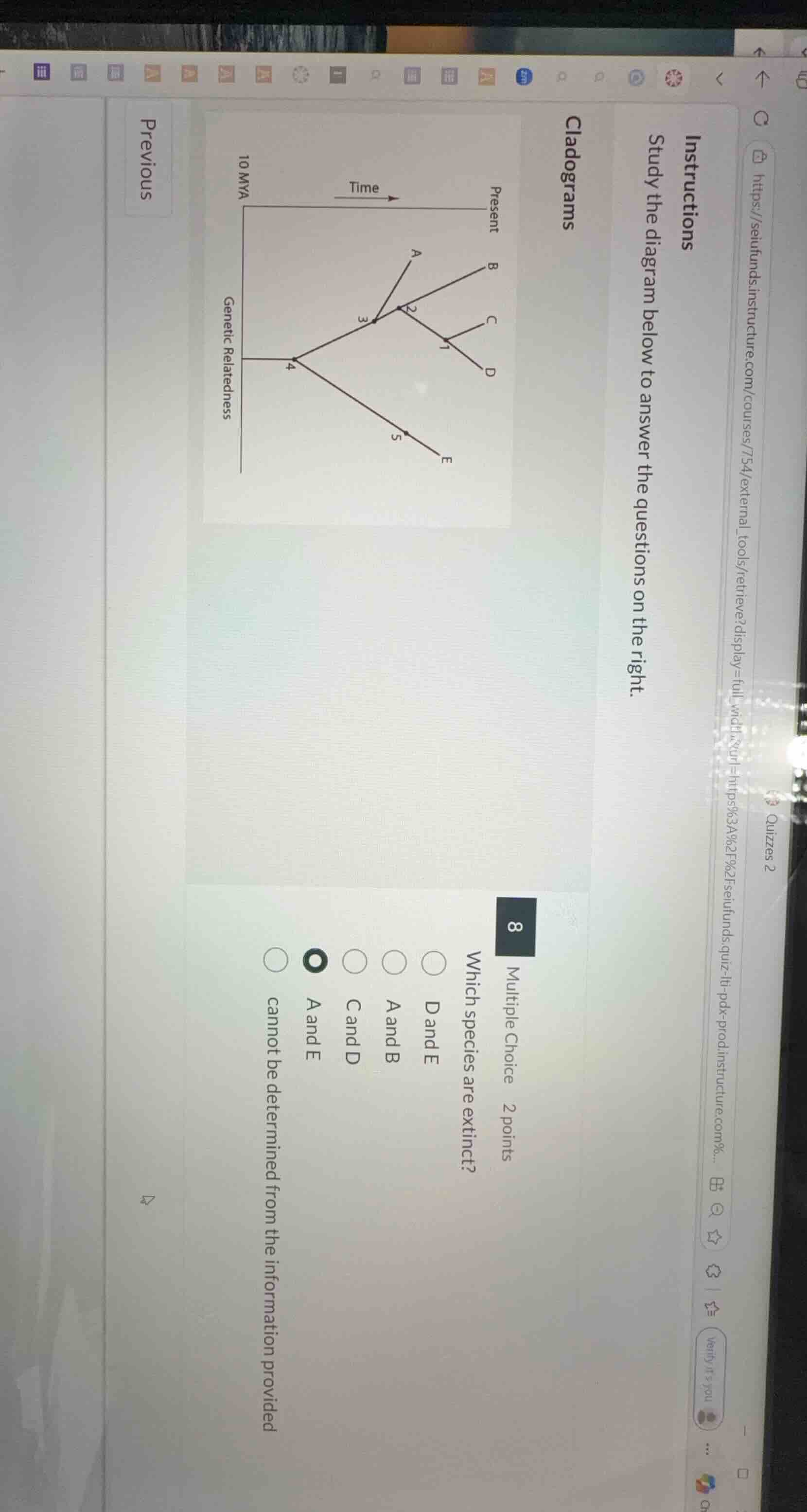 cladograms\ninstructions\nstudy the diagram below to answer the questions on the right.\n8 multiple choice 2 points\nwhich species are extinct?\nd and e\na and b\nc and d\na and e\ncannot be determined from the information provided