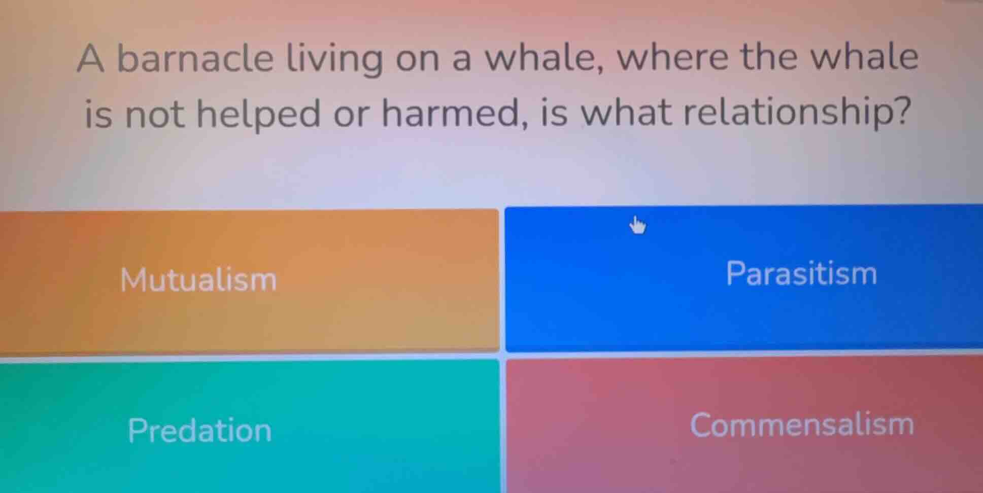 a barnacle living on a whale, where the whale is not helped or harmed, is what relationship?\n\nmutualism\nparasitism\npredation\ncommensalism