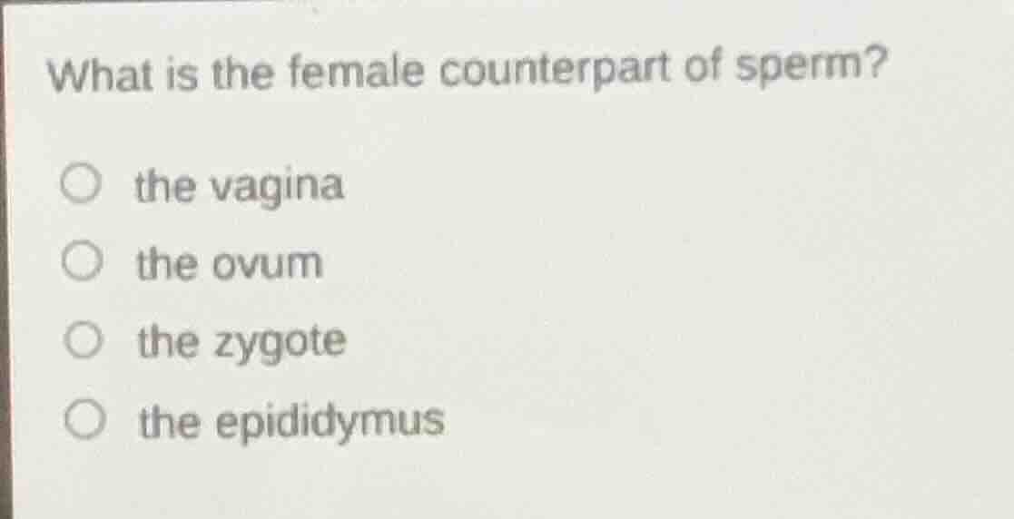 what is the female counterpart of sperm?\n\nthe vagina\nthe ovum\nthe zygote\nthe epididymus