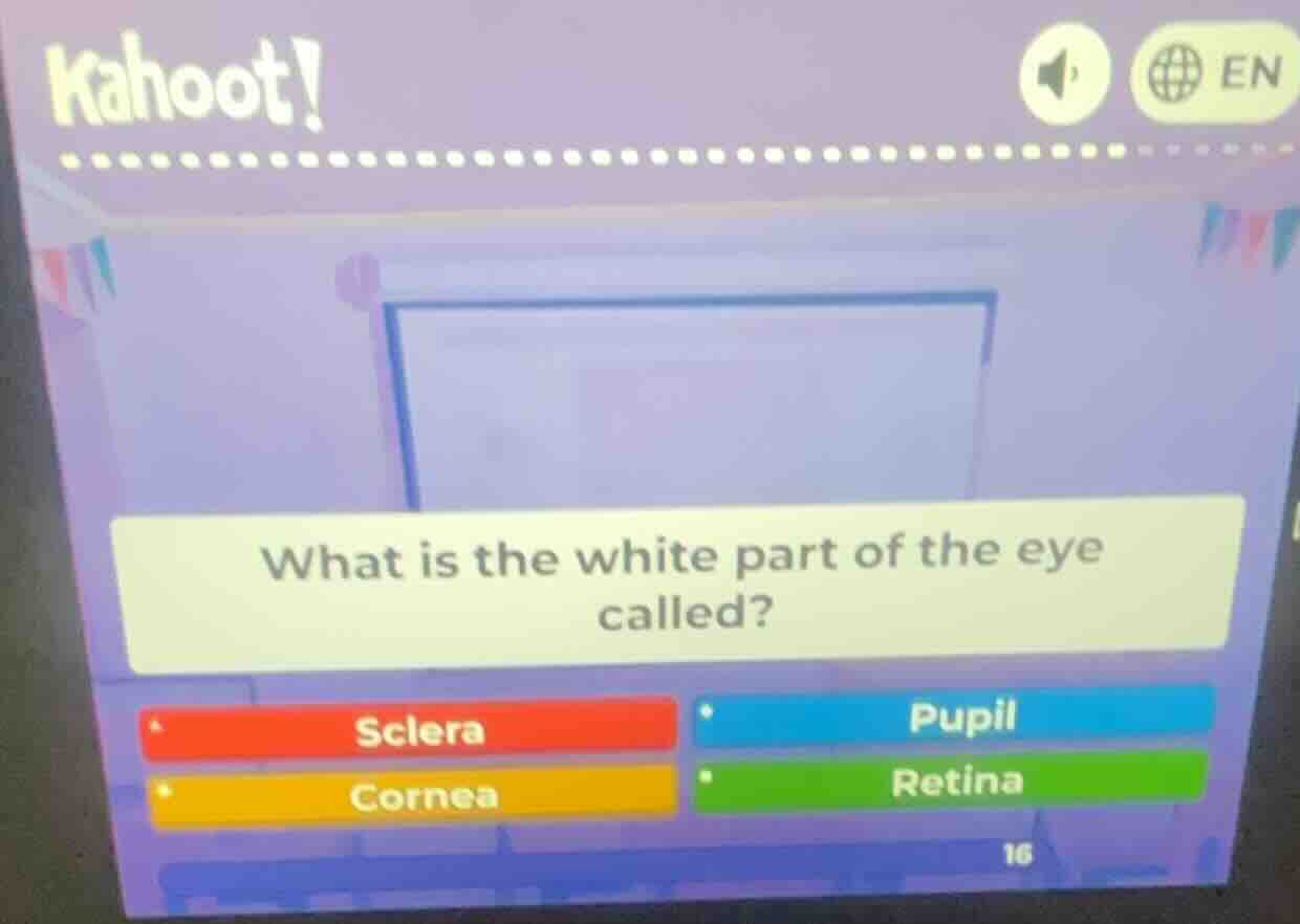 what is the white part of the eye called?\nsclera\npupil\ncornea\nretina