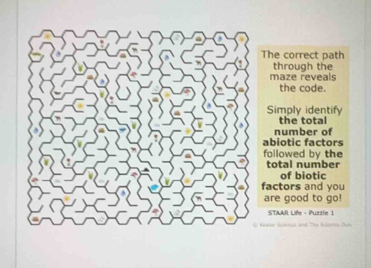 the correct path through the maze reveals the code. simply identify the total number of abiotic factors followed by the total number of biotic factors and you are good to go! staar life - puzzle 1
