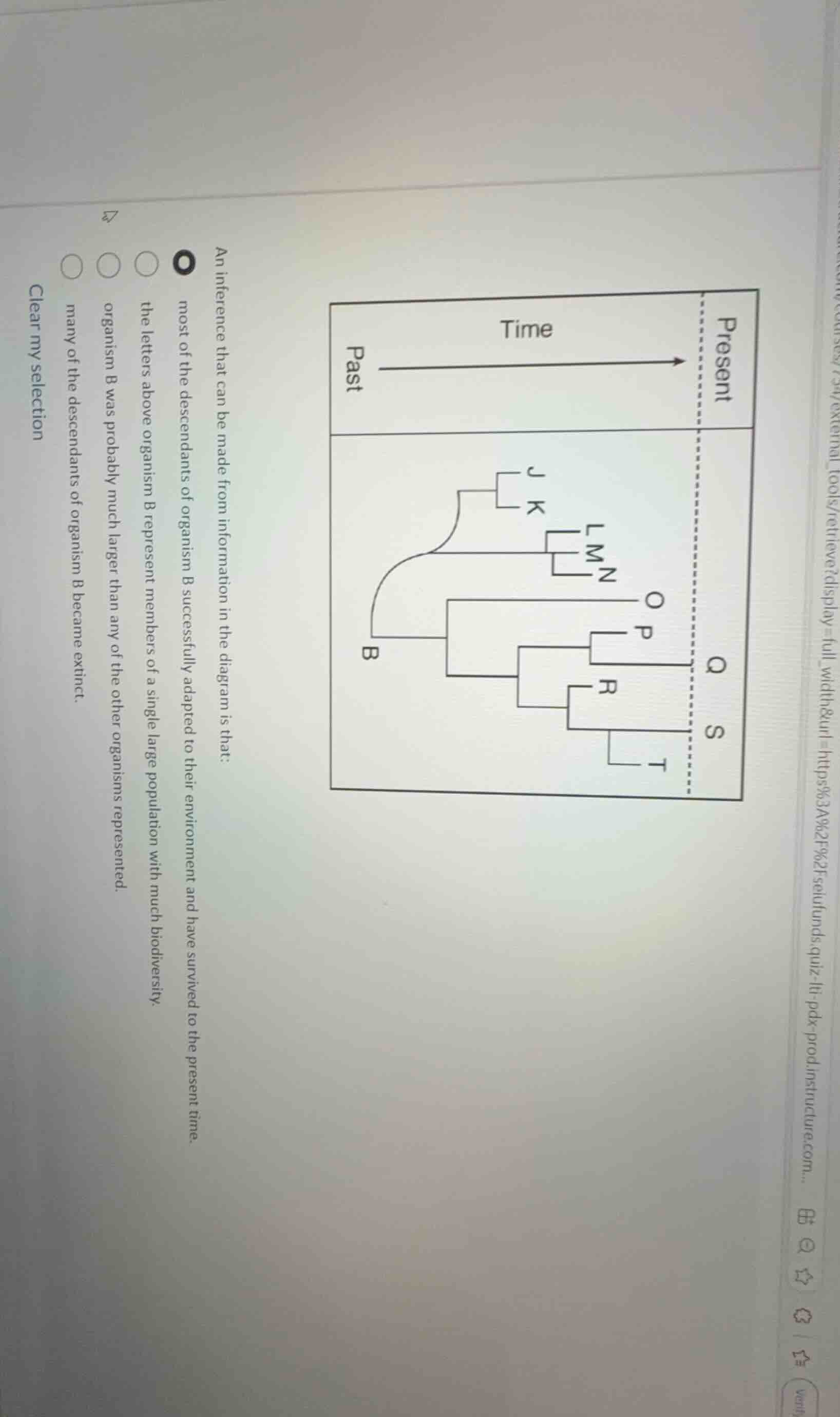 an inference that can be made from information in the diagram is that:\nmost of the descendants of organism b successfully adapted to their environment and have survived to the present time.\nthe letters above organism b represent members of a single large population with much biodiversity.\norganism b was probably much larger than any of the other organisms represented.\nmany of the descendants of organism b became extinct.