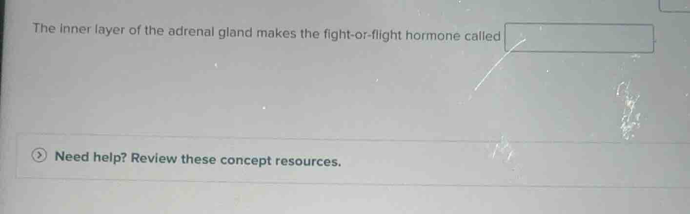 the inner layer of the adrenal gland makes the fight-or-flight hormone called