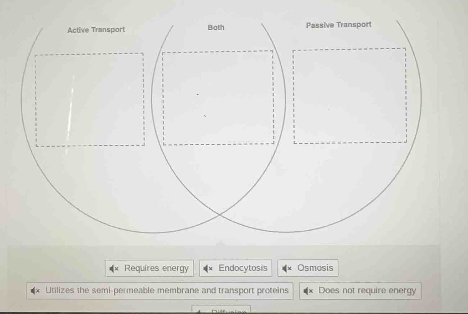 active transport both passive transport\nrequires energy\nendocytosis\nosmosis\nutilizes the semi-permeable membrane and transport proteins\ndoes not require energy\ndiffusion
