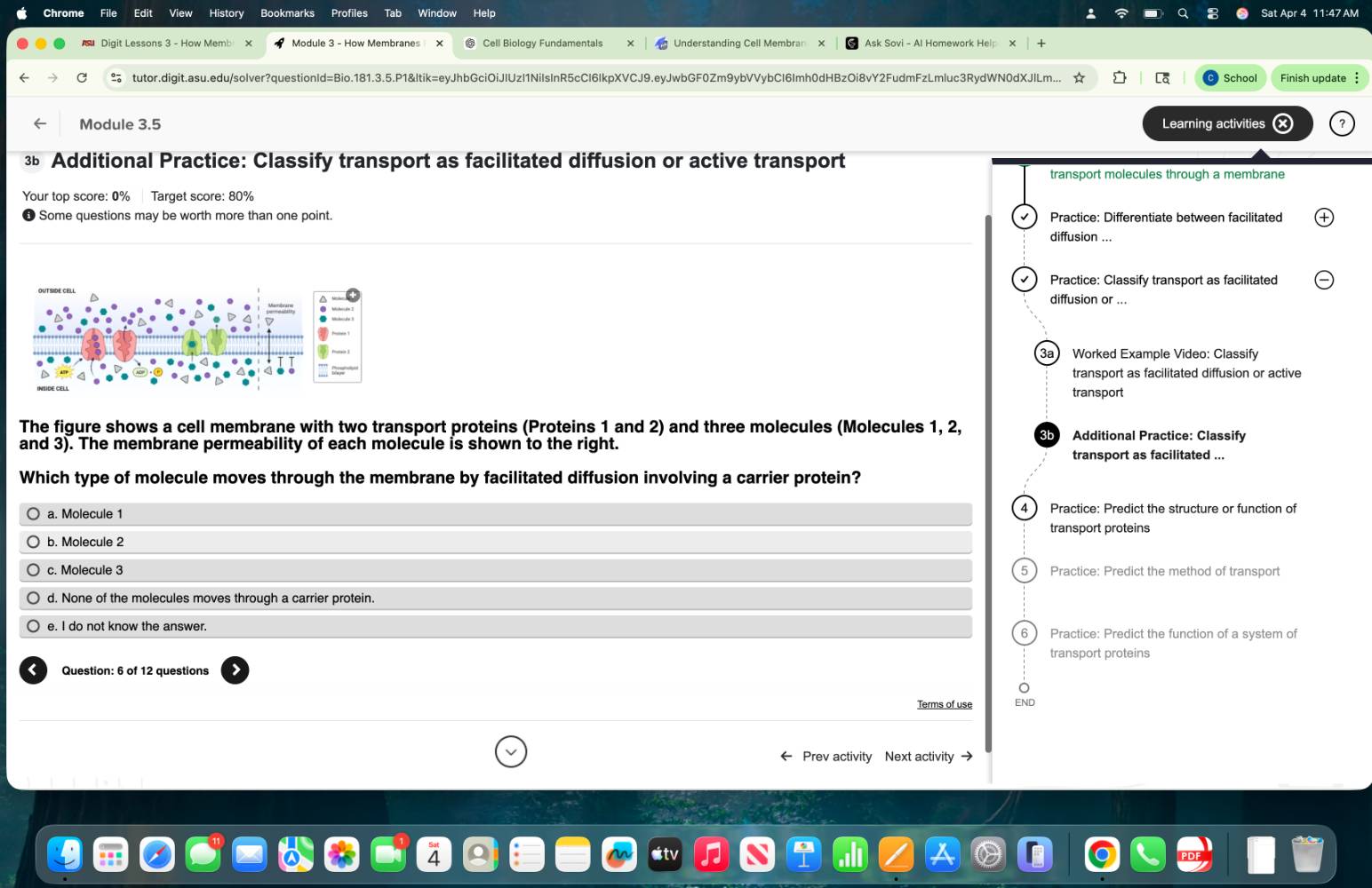 3b additional practice: classify transport as facilitated diffusion or active transport\n\nthe figure shows a cell membrane with two transport proteins (proteins 1 and 2) and three molecules (molecules 1, 2, and 3). the membrane permeability of each molecule is shown to the right.\n\nwhich type of molecule moves through the membrane by facilitated diffusion involving a carrier protein?\n\na. molecule 1\nb. molecule 2\nc. molecule 3\nd. none of the molecules moves through a carrier protein.\ne. i do not know the answer.
